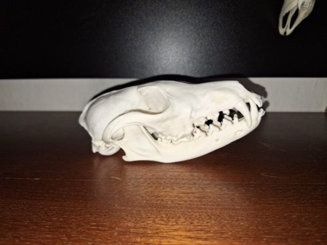 photo20.jpg